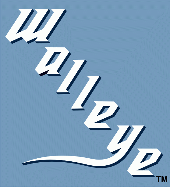 toledo walleye 2009-pres wordmark logo iron on transfers for clothing